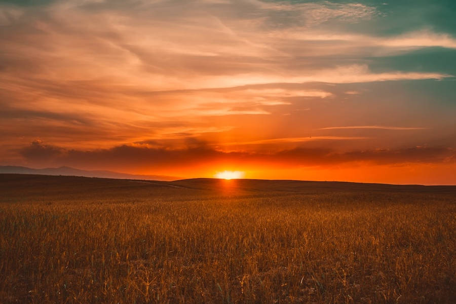 sunsets-estate-tax-when-let-go
